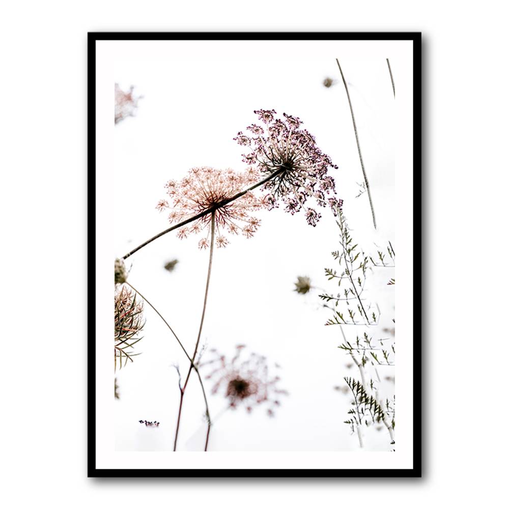 Summer Flowers Wall Art