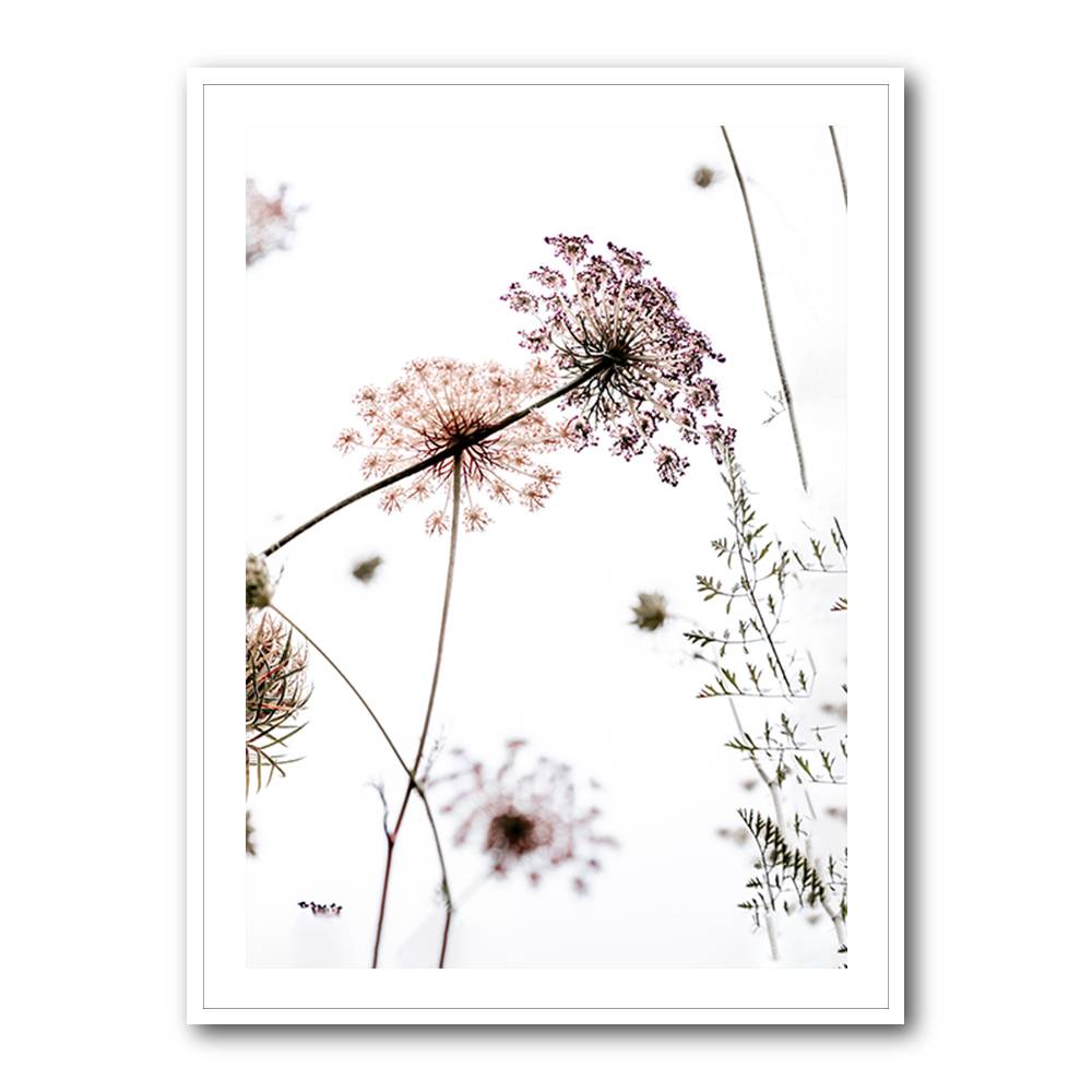 Summer Flowers Wall Art