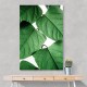 Summer Branches Wall Art