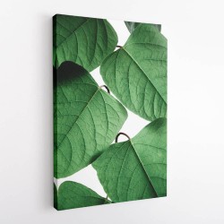 Summer Branches Wall Art