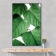 Summer Branches Wall Art