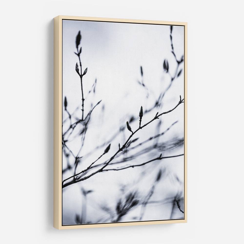 Winter Branches 2 Wall Art