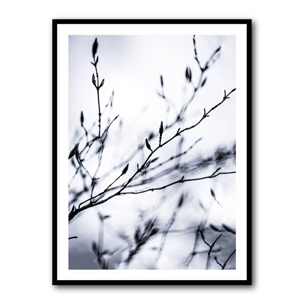 Winter Branches 2 Wall Art