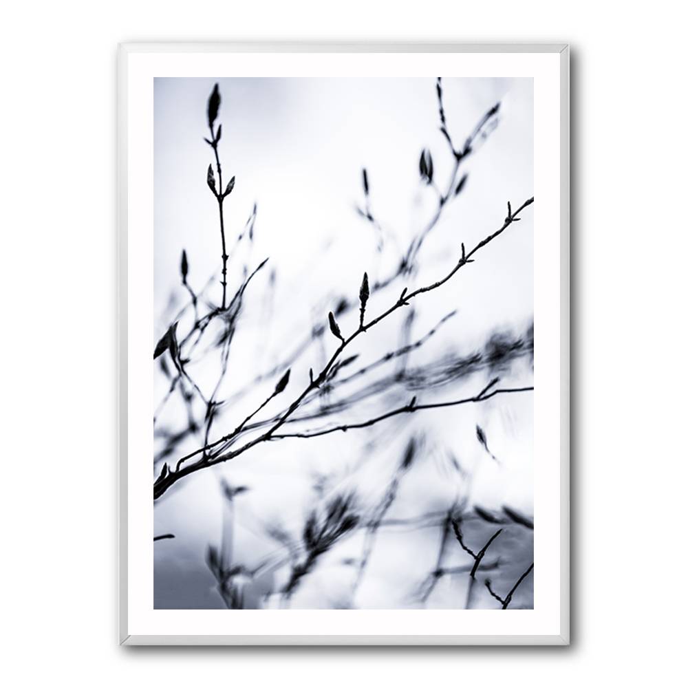 Winter Branches 2 Wall Art