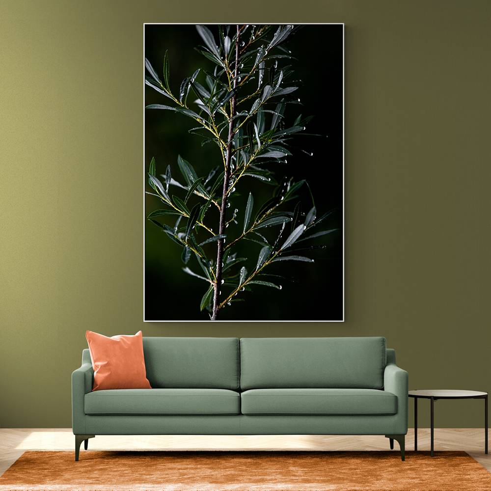 Winter Branches 6 Wall Art