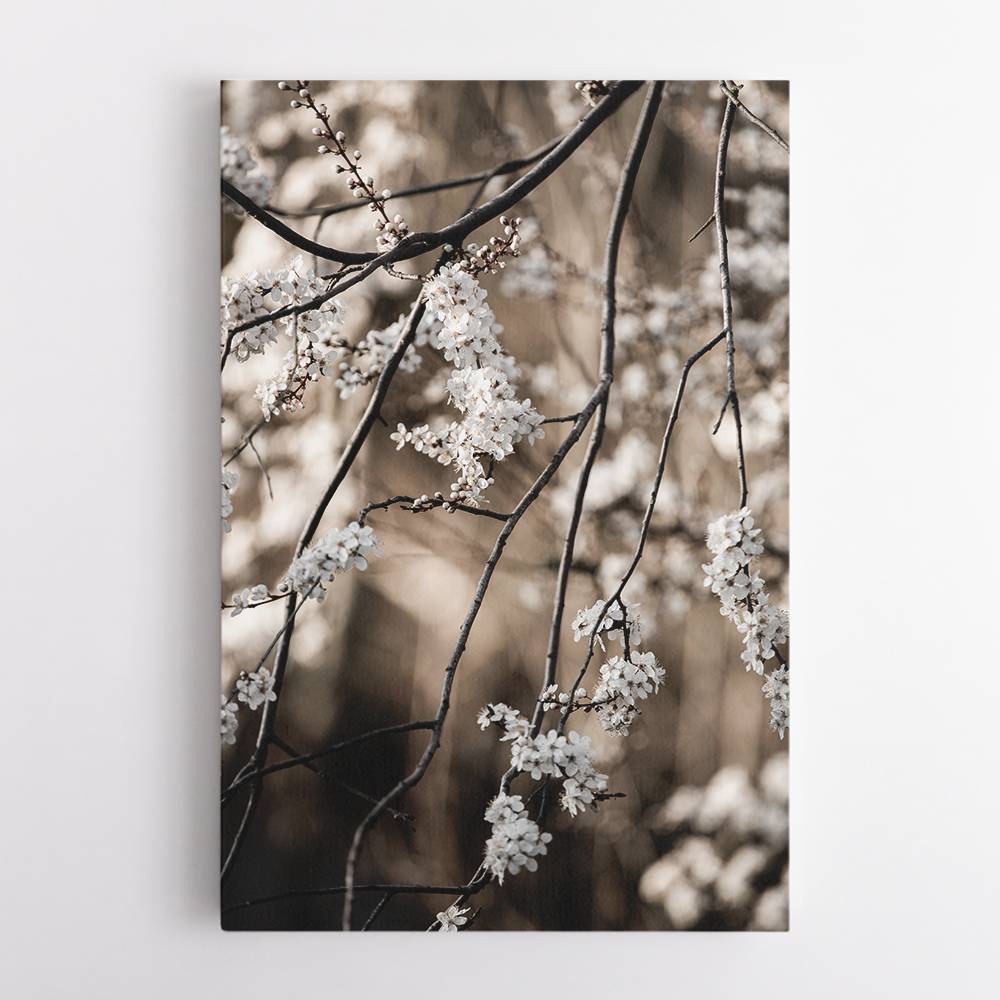 Spring Branches 1 Wall Art