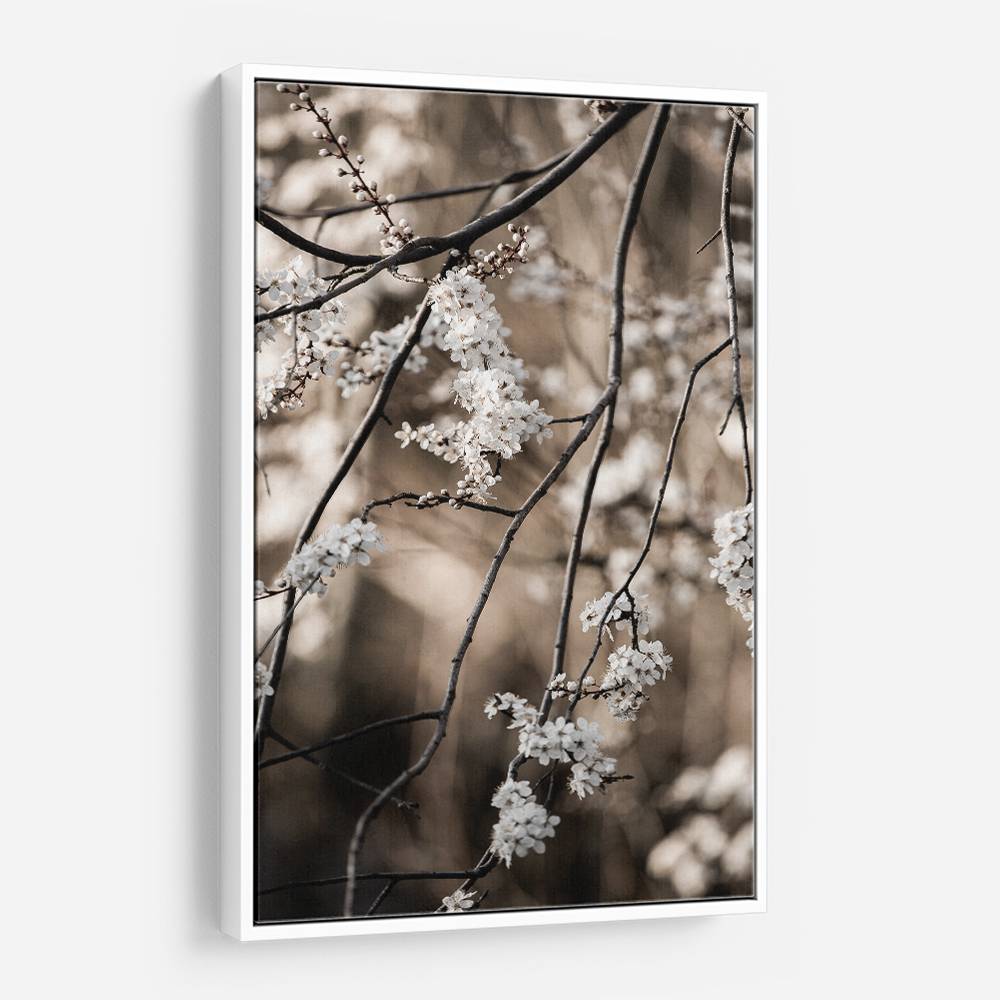 Spring Branches 1 Wall Art