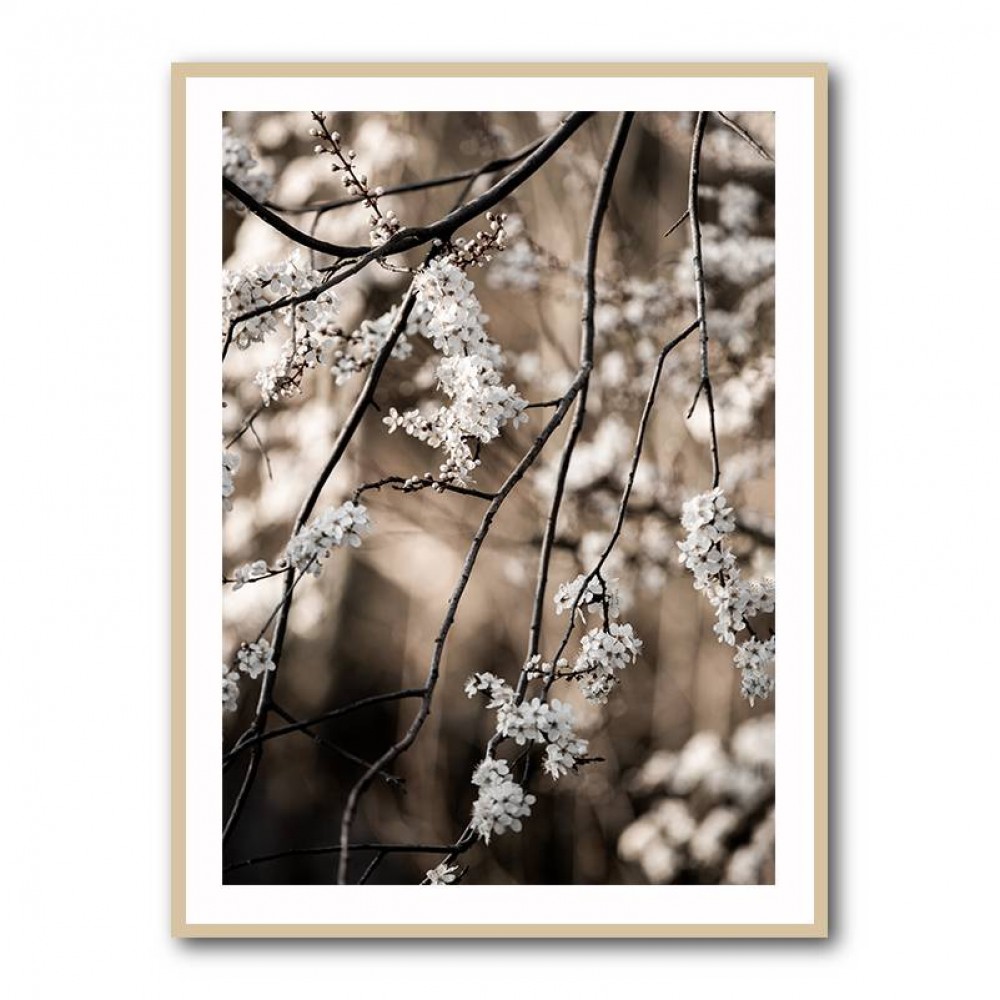 Spring Branches 1 Wall Art