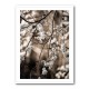 Spring Branches 1 Wall Art