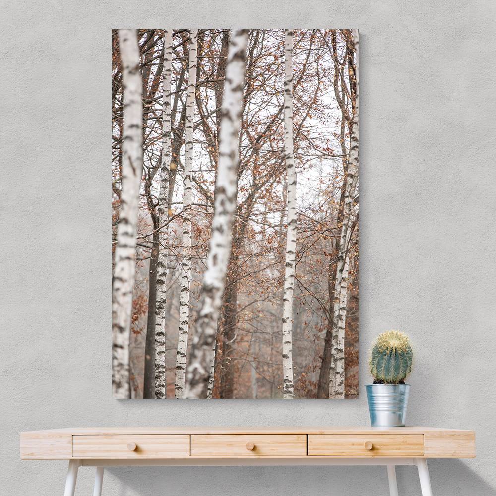 Birch Trees 6 Wall Art