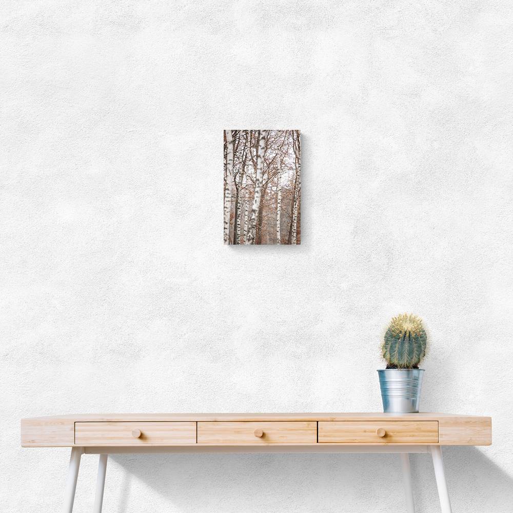 Birch Trees 6 Wall Art