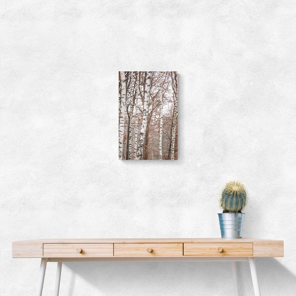 Birch Trees 6 Wall Art