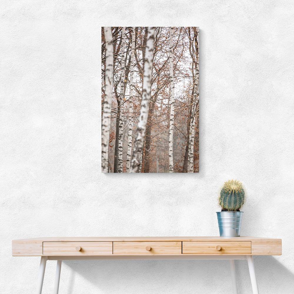 Birch Trees 6 Wall Art