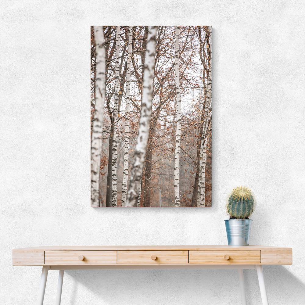 Birch Trees 6 Wall Art