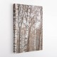 Birch Trees 6 Wall Art