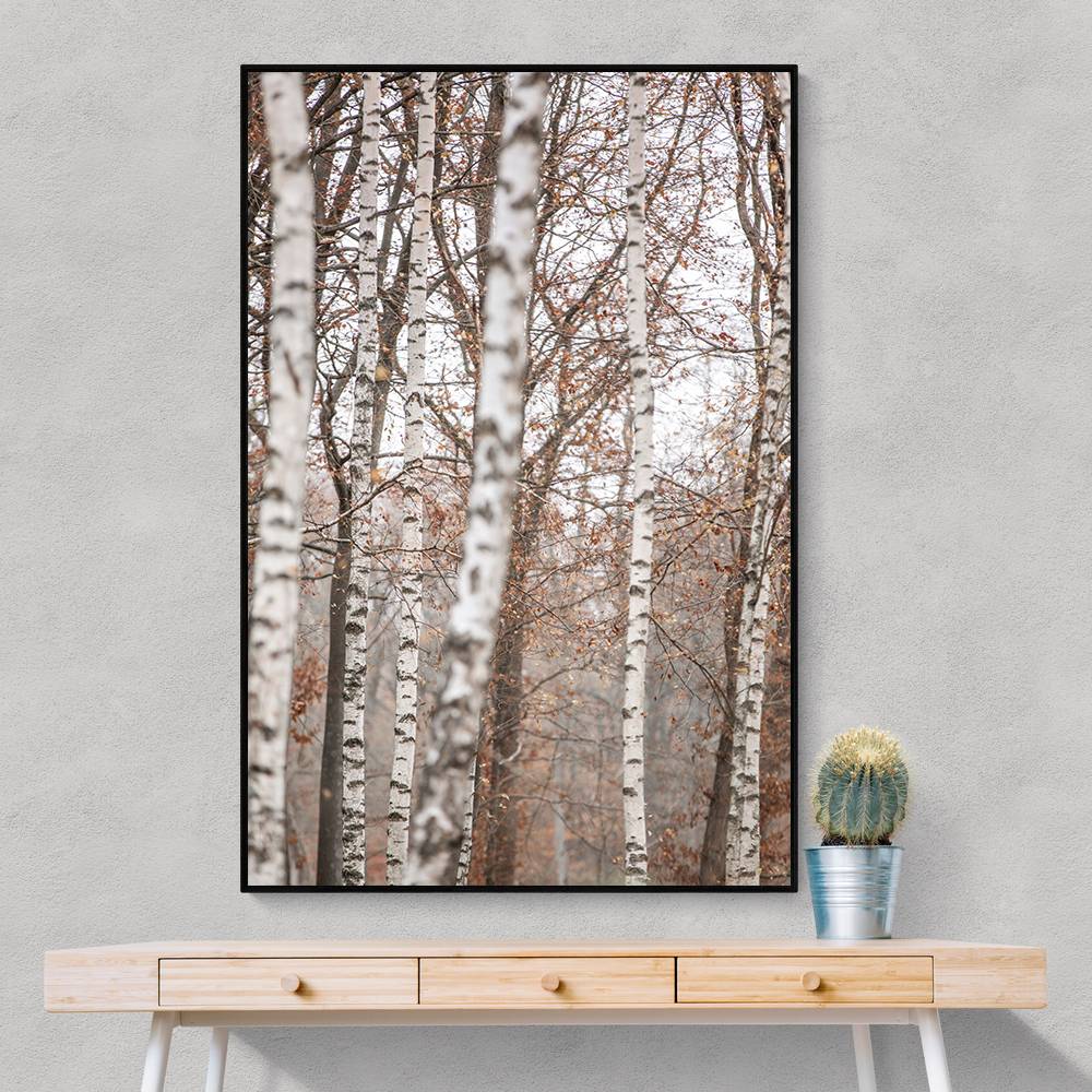 Birch Trees 6 Wall Art