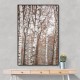 Birch Trees 6 Wall Art