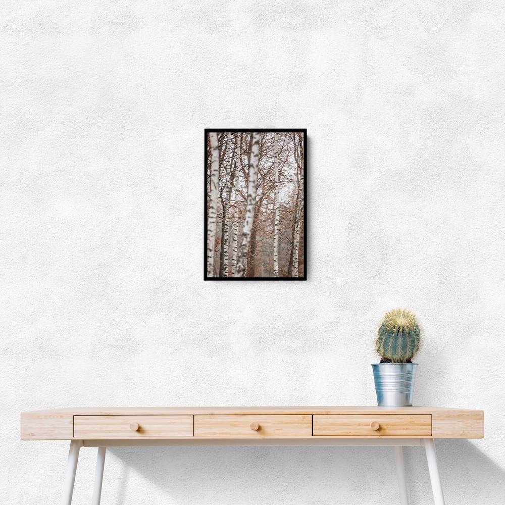 Birch Trees 6 Wall Art