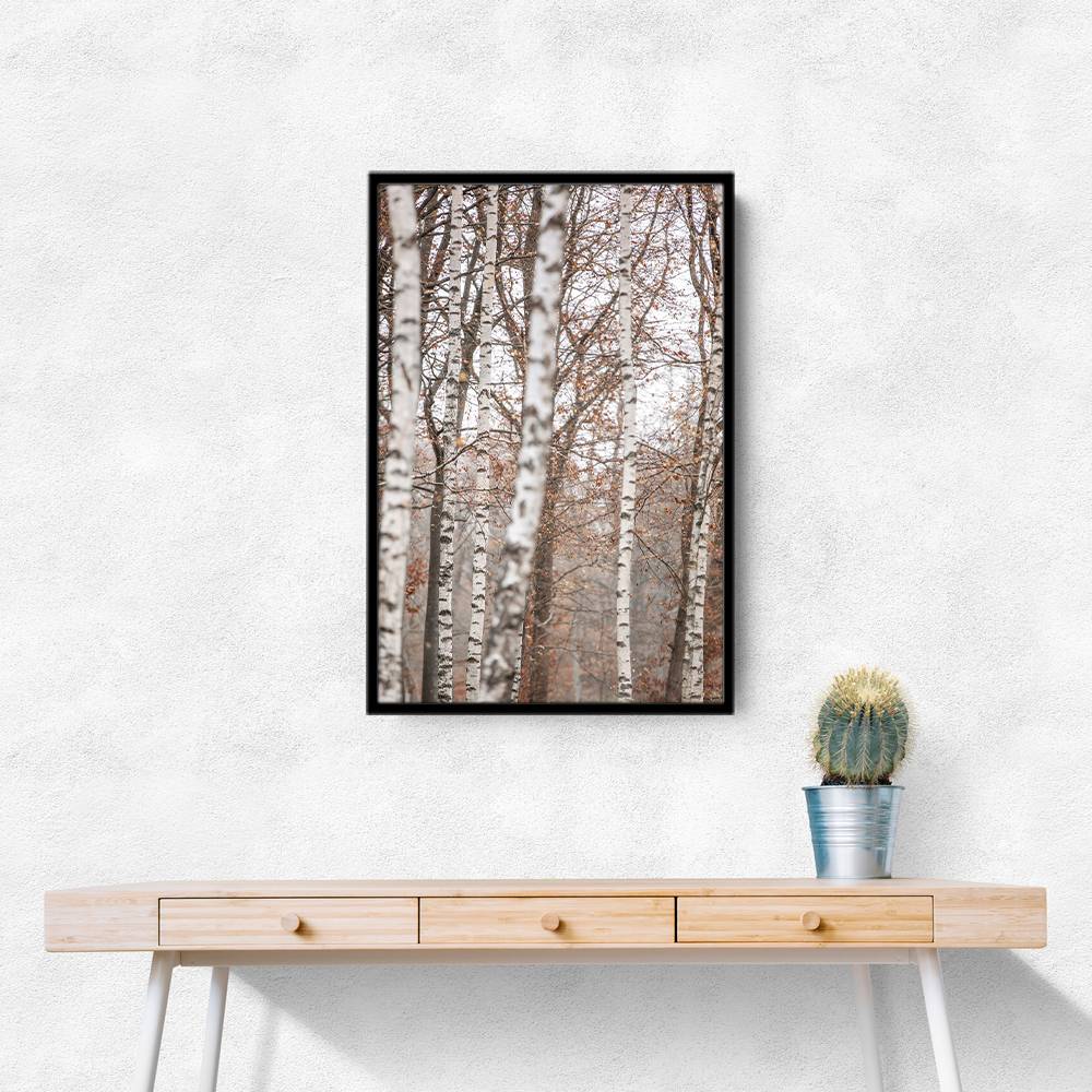 Birch Trees 6 Wall Art