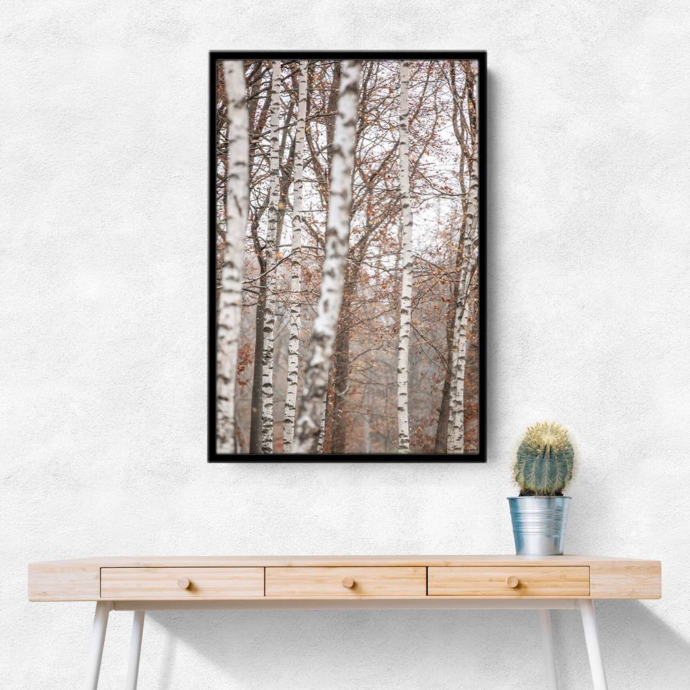 Birch Trees 6 Wall Art