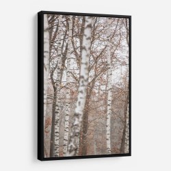 Birch Trees 6 Wall Art