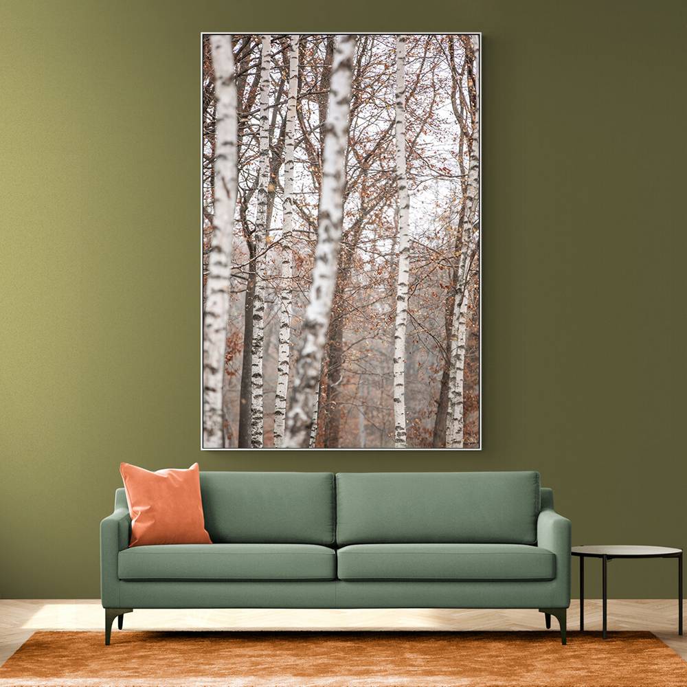 Birch Trees 6 Wall Art