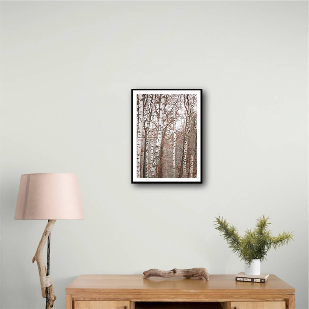 Birch Trees 6 Wall Art