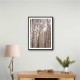 Birch Trees 6 Wall Art