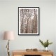 Birch Trees 6 Wall Art