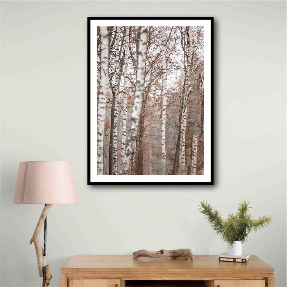 Birch Trees 6 Wall Art