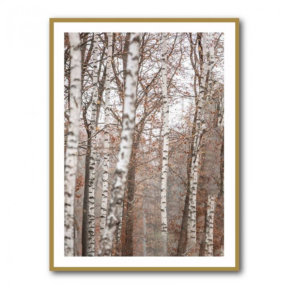 Birch Trees 6 Wall Art