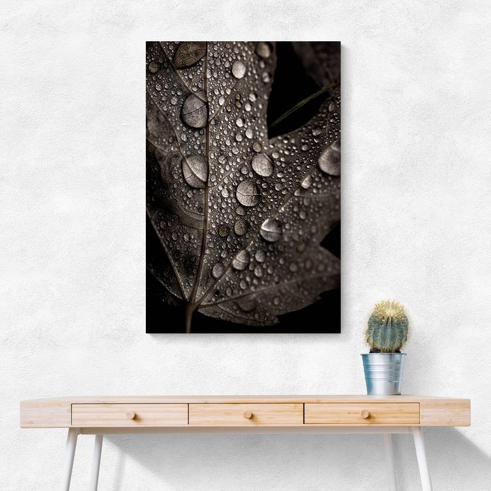 Rainy Fall Wall Art