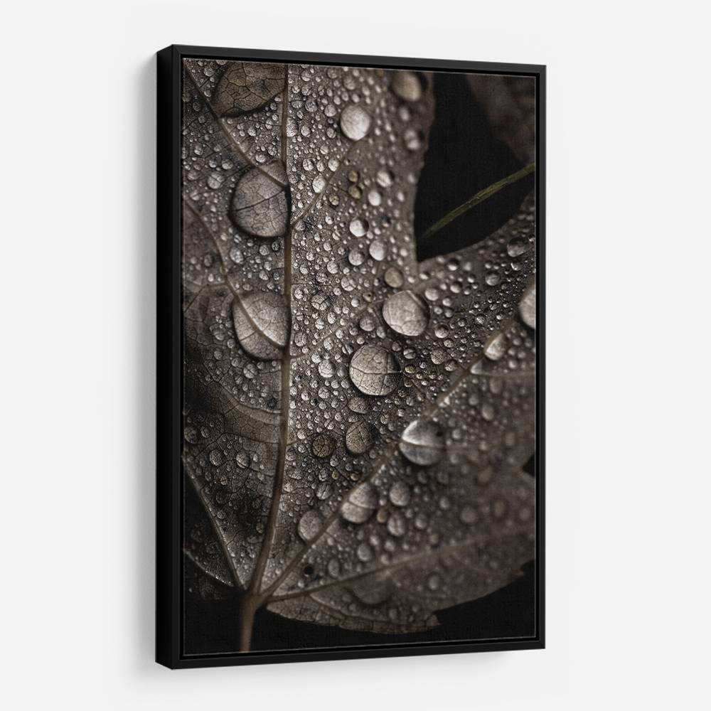 Rainy Fall Wall Art