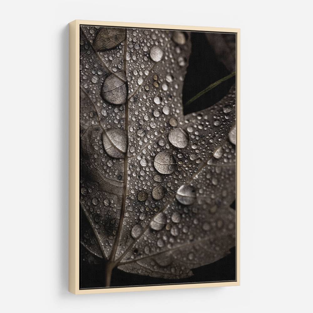 Rainy Fall Wall Art