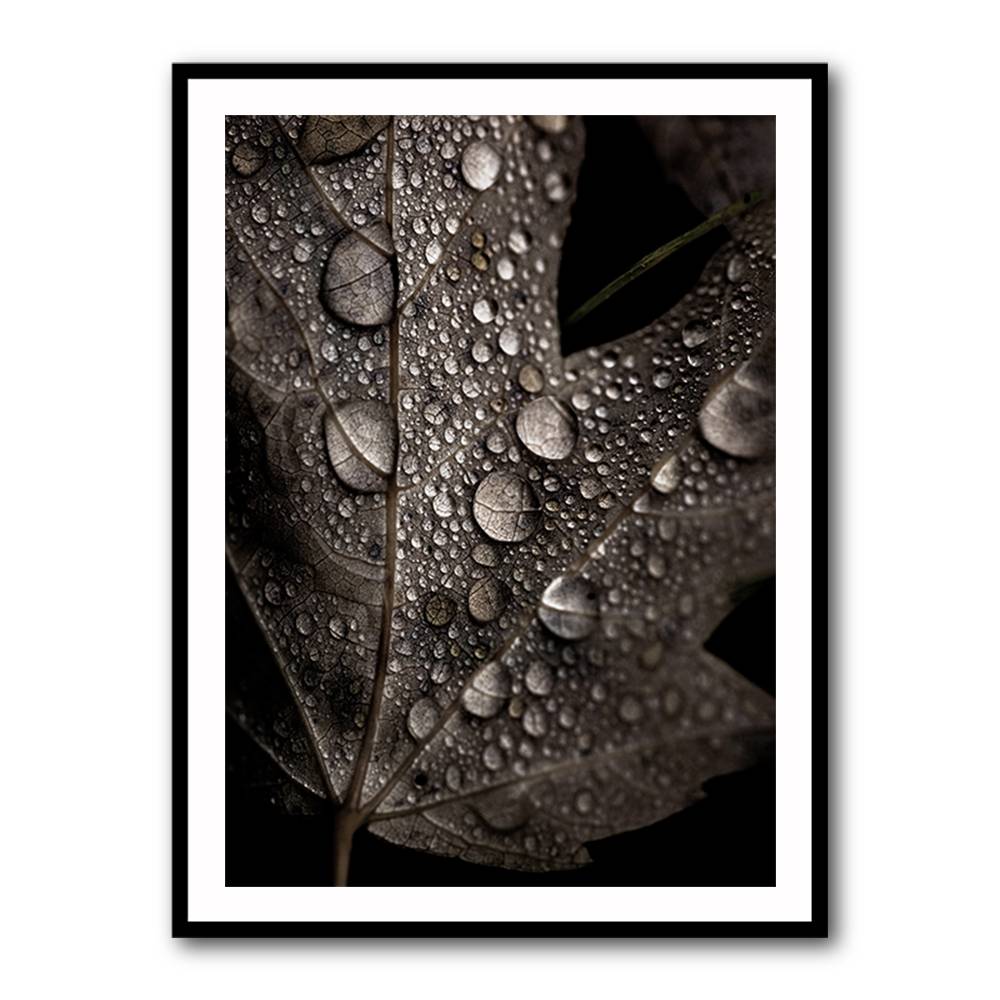 Rainy Fall Wall Art