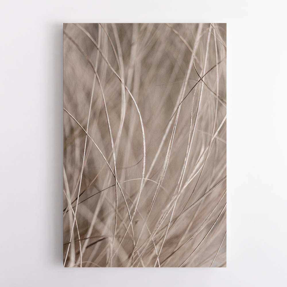 Summer Grass 3 Wall Art