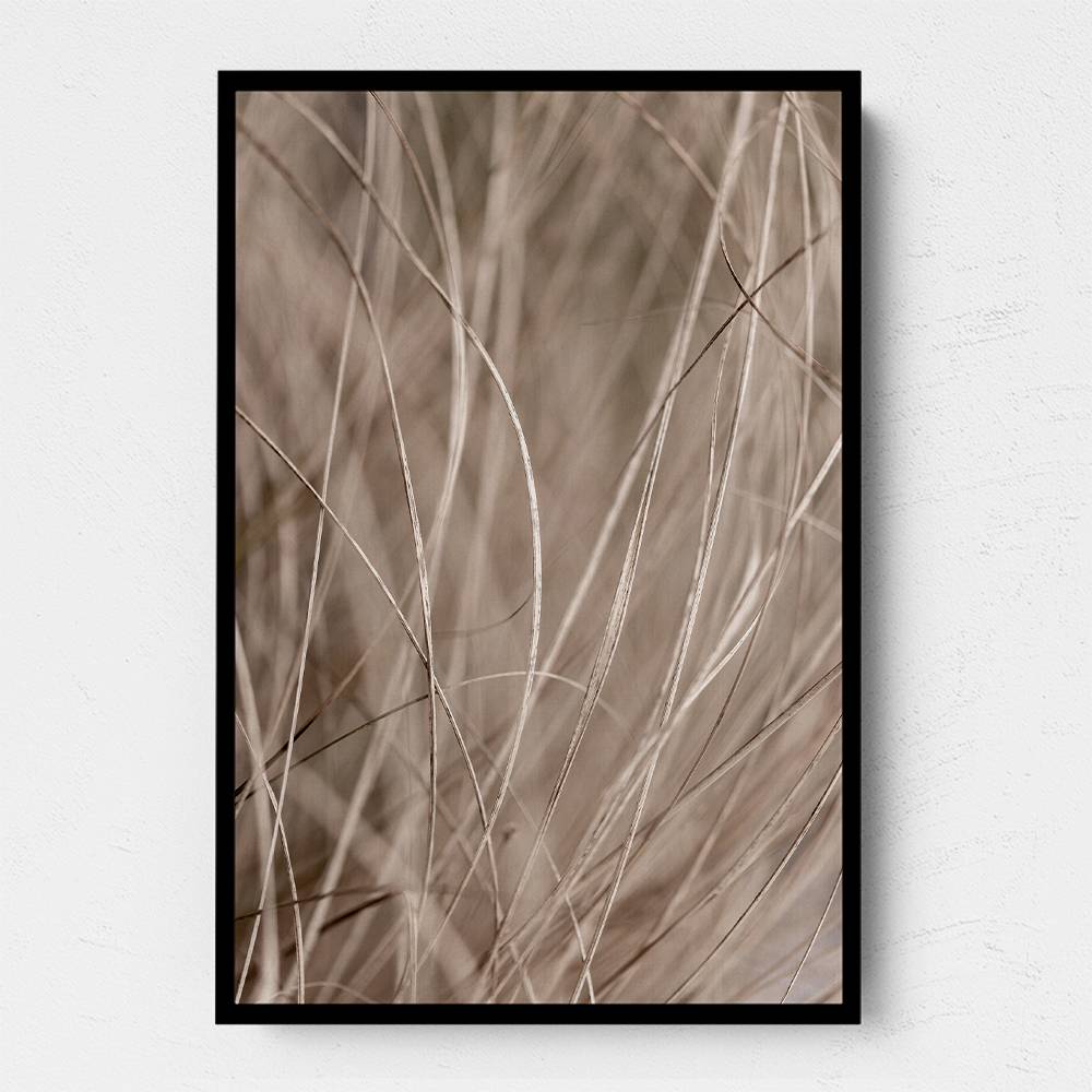 Summer Grass 3 Wall Art