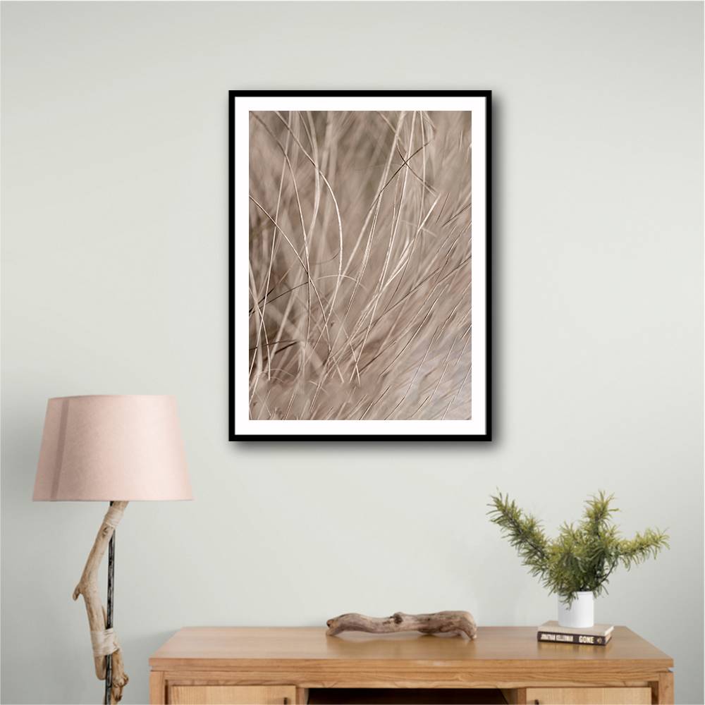 Summer Grass 3 Wall Art