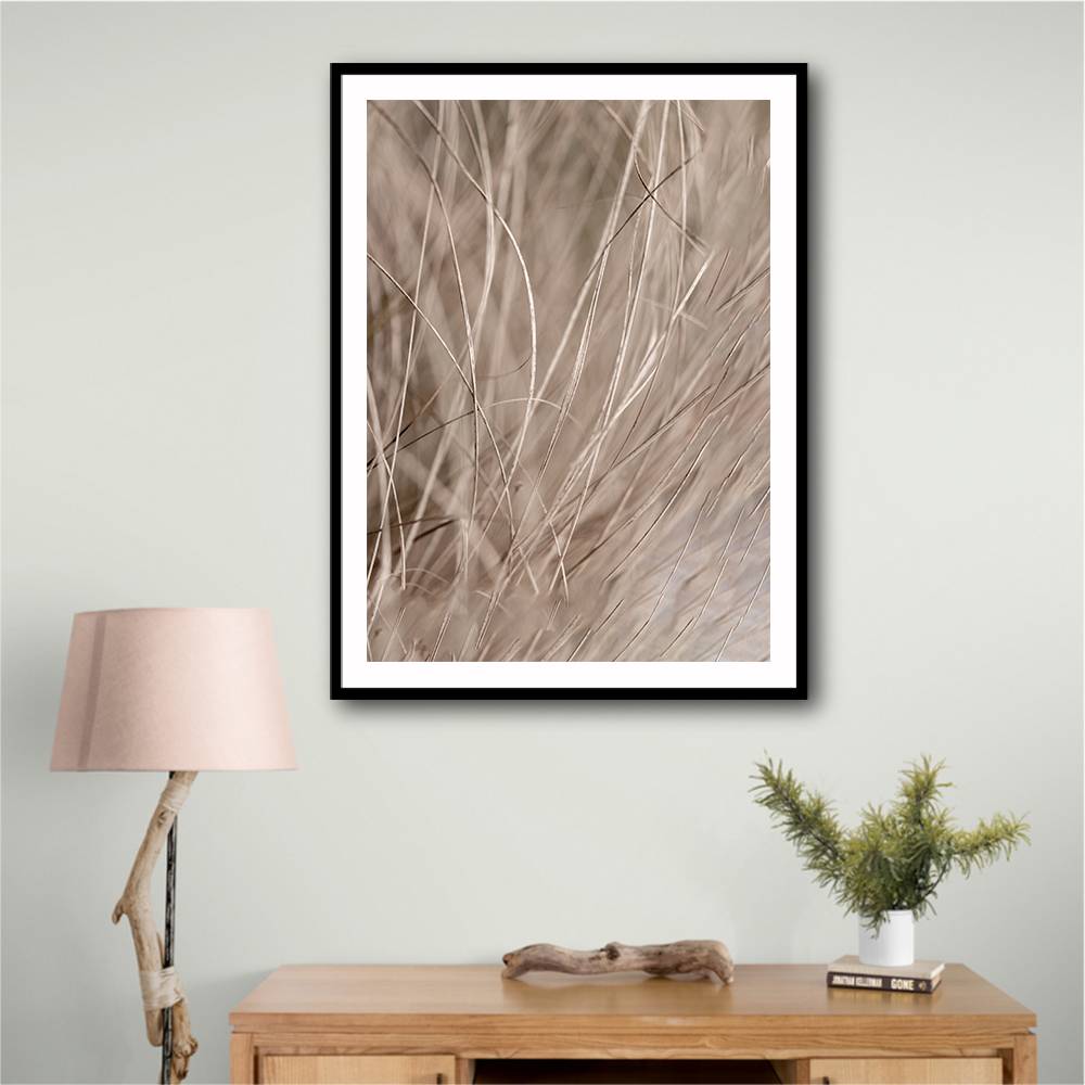 Summer Grass 3 Wall Art