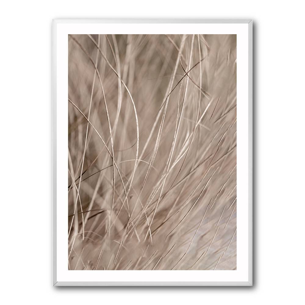 Summer Grass 3 Wall Art