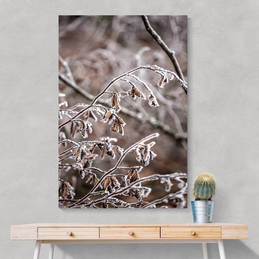 Winter Branches 18 Wall Art