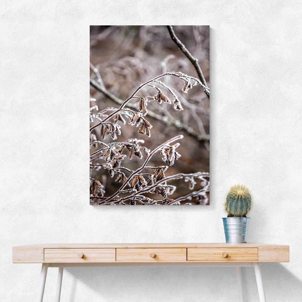 Winter Branches 18 Wall Art