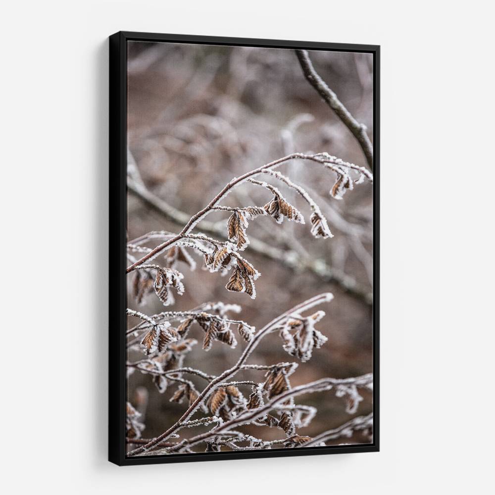 Winter Branches 18 Wall Art