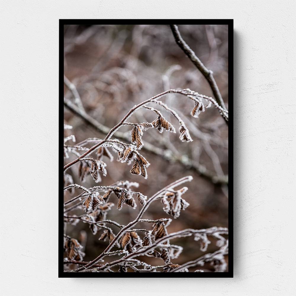 Winter Branches 18 Wall Art