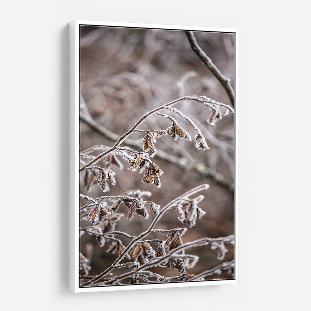 Winter Branches 18 Wall Art