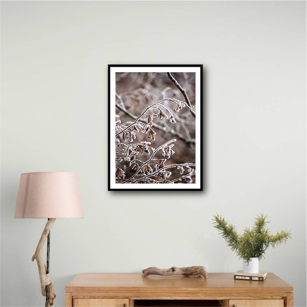 Winter Branches 18 Wall Art