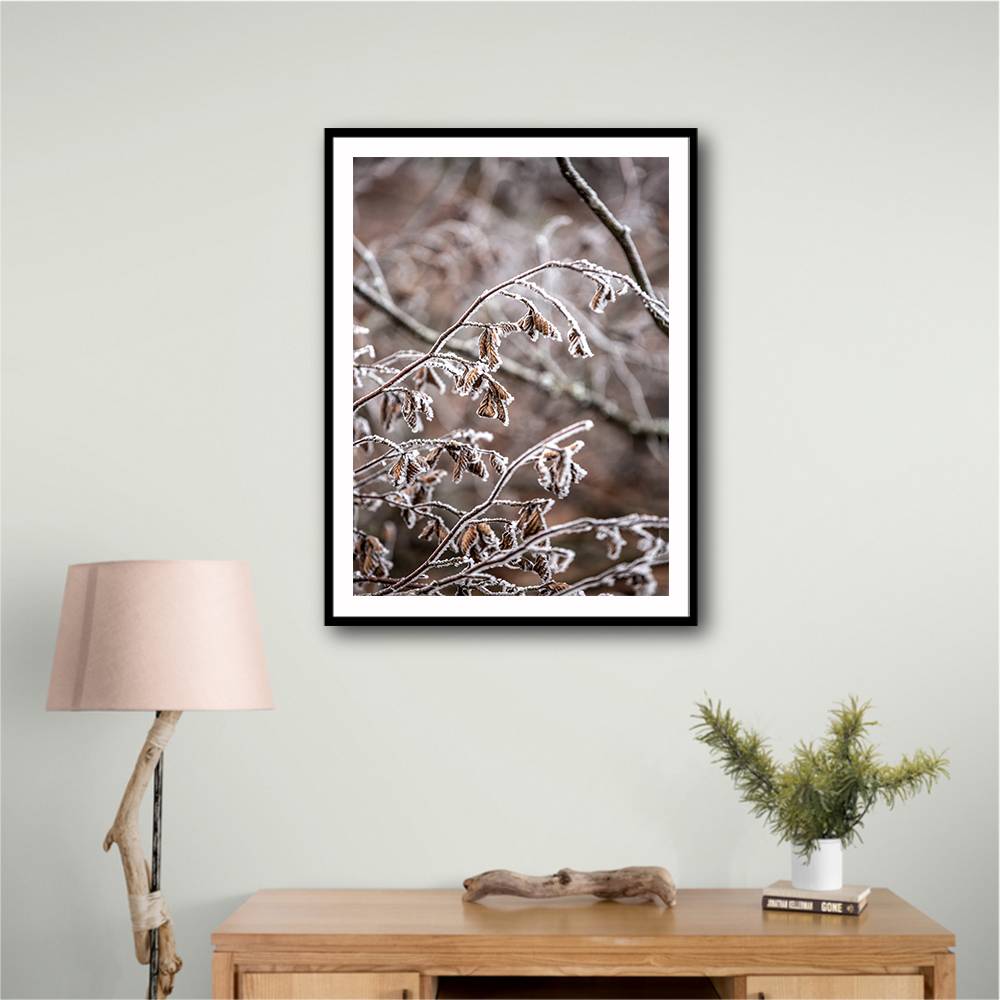 Winter Branches 18 Wall Art