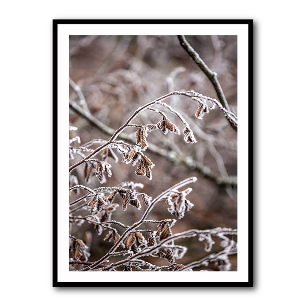 Winter Branches 18 Wall Art