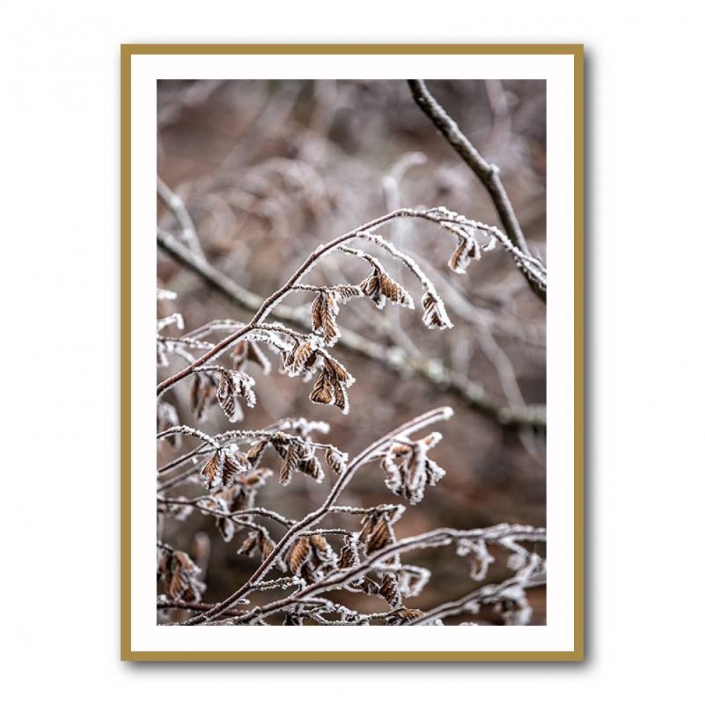 Winter Branches 18 Wall Art