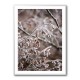 Winter Branches 18 Wall Art